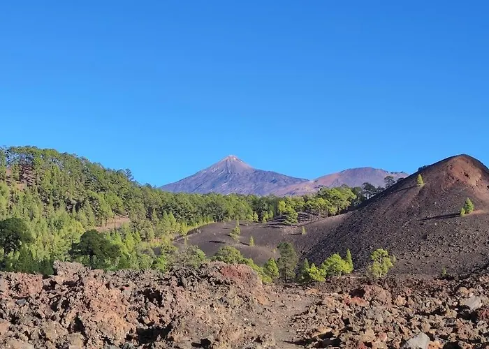 Beachfront Duplex Penthouse With Pool, Rooftop, Sea View
