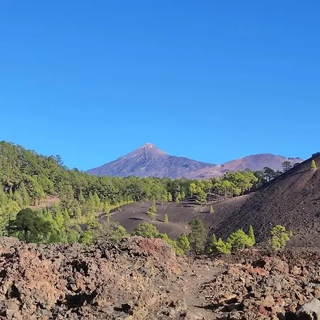 Beachfront Duplex Penthouse With Pool, Rooftop, Sea View